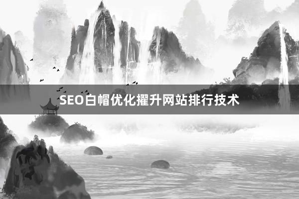 SEO白帽优化擢升网站排行技术