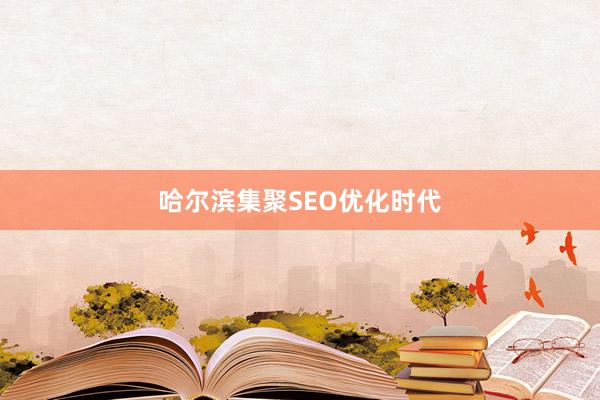 哈尔滨集聚SEO优化时代